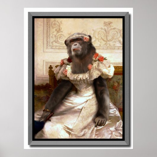 Lovely Chimp in Gown Poster (Voorkant)