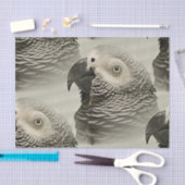 Lovely Congo African Grey Parrot Tissuepapier (Craft)