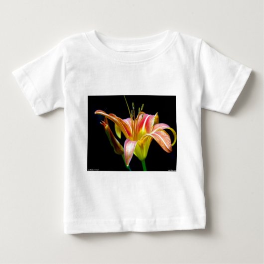 Lovely Daylily II Apparel en Gifts (Voorkant)