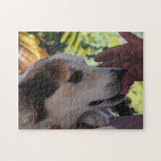 Lovely Dog - Spelen met haar eigenaar Foto Puzzle Legpuzzel