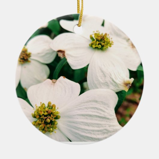 Lovely Dogwood Keramisch Ornament (Voorkant)