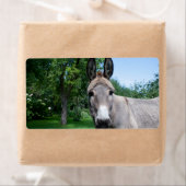 Lovely Donkey Portret Etiket (Insitu)