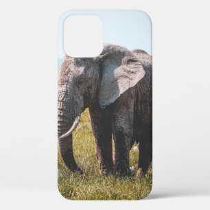 LOVELY ELEPHANT iPhone 12 HOESJE