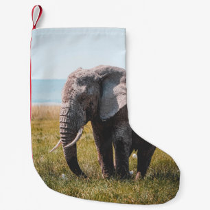 LOVELY ELEPHANT KLEINE KERSTSOK