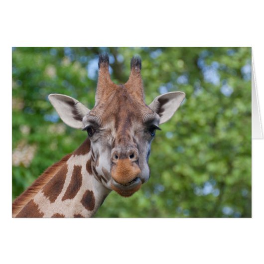 Lovely Giraffe Portret (Voorkant Horizontaal)