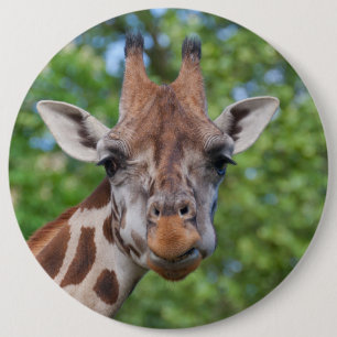 Lovely Giraffe Portret Ronde Button 6,0 Cm