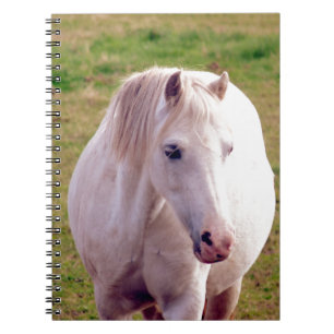Lovely Grey Pony Notitieboek