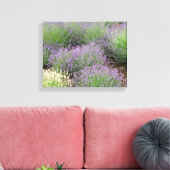 Lovely Lavender Canvas Afdruk (Insitu (Woonkamer))