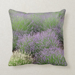 Lovely Lavender Kussen