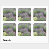 Lovely Lavender Vierkante Sticker (Vel)