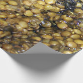 Lovely Lentils!  Wrapping Paper! Cadeaupapier (Hoek)