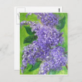 Lovely Lilacs Briefkaart (Voorkant / Achterkant)