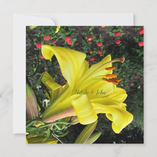 Lovely Lilly Faire-part de mariage (Dos)