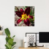 Lovely Lily Poster (Thuiskantoor)