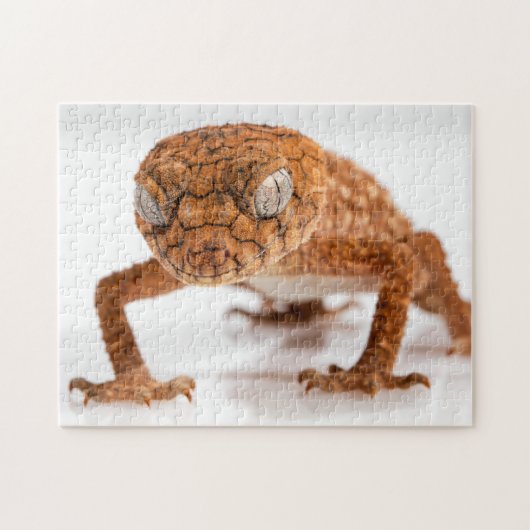 Lovely Lizard Glaring Gecko Photo Puzzle (Horizontal)