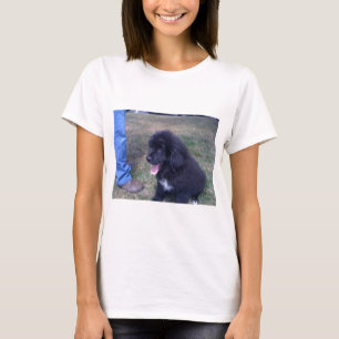 Lovely Newfie puppy (hondenras Newfoundland) T-shirt