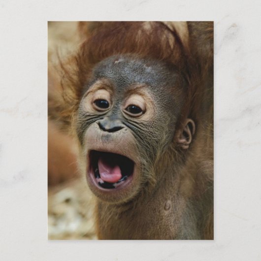 Lovely Orang baby Briefkaart (Voorkant)