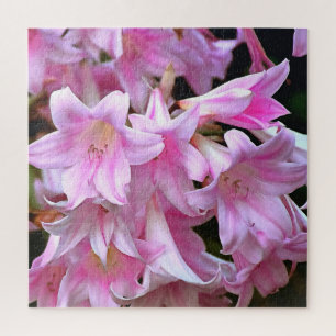Lovely Pink Belladonna Amaryllis Lilies Legpuzzel