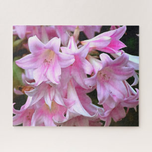 Lovely Pink Belladonna Amaryllis Lilies Legpuzzel
