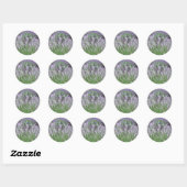 Lovely Provence French Lavender Ronde Sticker (Vel)