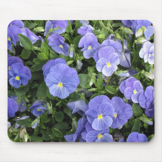 Lovely Purple Flowers - mousepad Muismat (Voorkant)