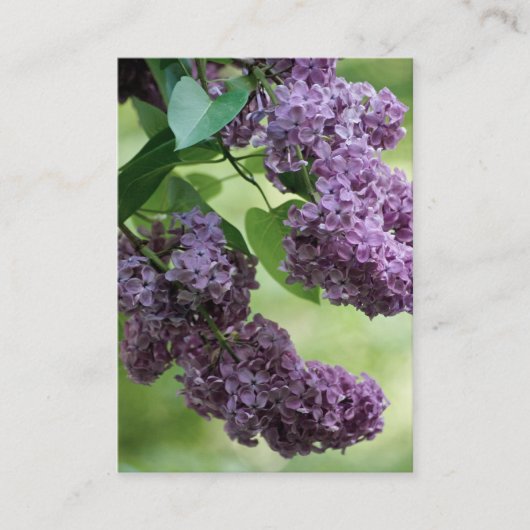 Lovely Spring Mini Print Visitekaartje (Voorkant)