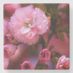 Lovely Spring roze Cherry Blossom Stenen Onderzetter