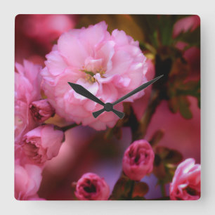 Lovely Spring roze Cherry Blossom Vierkante Klok