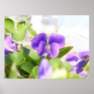 Lovely Spring Violet Poster