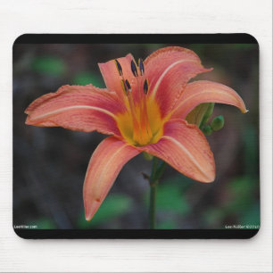 Lovely Tawny Daylily Apparel en Gifts Muismat