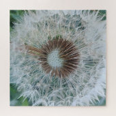 Lovely White Dandelion Legpuzzel (Horizontaal)