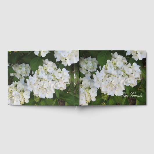 Lovely White Hydrangeas Gastenboek (Volledig)