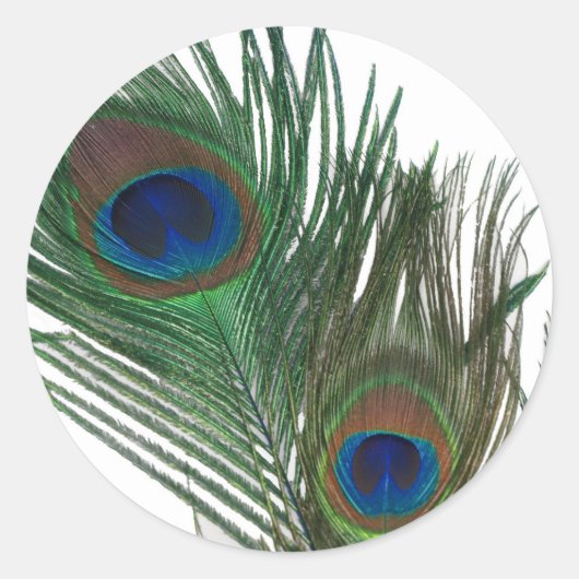 Lovely White Peacock Feather Ronde Sticker (Voorkant)