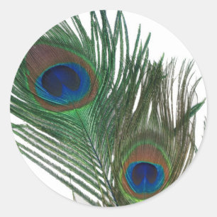 Lovely White Peacock Feather Ronde Sticker