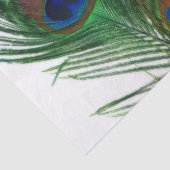 Lovely White Peacock Feather Tissuepapier (Detail)