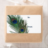 Lovely White Peacock Gift Label (Insitu)