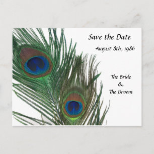 Lovely White Peacock Save the Date Aankondigingskaart