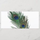 Lovely White Peacock Wedding Programme (Dos)