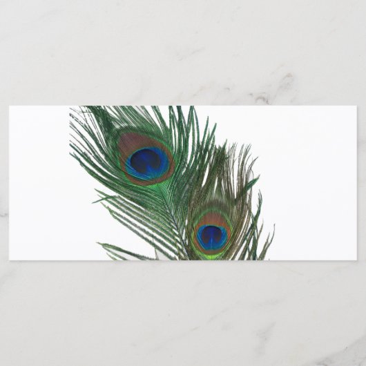 Lovely White Peacock Wedding Programme (Dos)