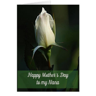 Lovely White Rosebud wenskaart
