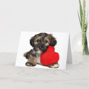 Lover Valentijn Havanese Puppy Dog Feestdagen Kaart