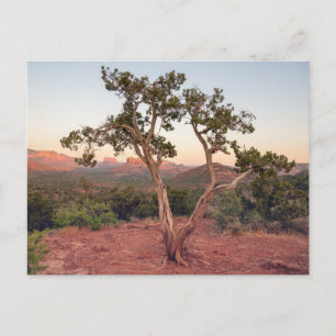 Lovers Knoll Zonsondergang in Sedona Feestdagenkaart