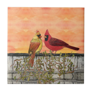 Lovevogels Ceramic Kitchen Tile Tegeltje