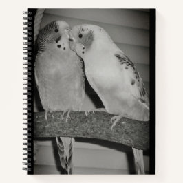 Lovevogels Notitieboek