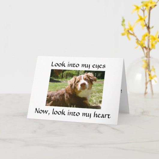 LOVING DOGGIE GEEFT DETAILS OVER HET MISSEN VAN "J KAART (Gele Bloem)