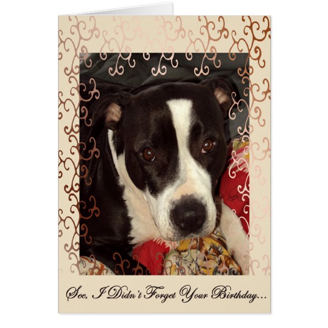 Loving Eyes (Voorkant)