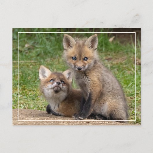 Loving Eyes Briefkaart (Voorkant)