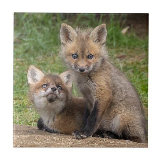 Loving Eyes Tegeltje (Voorkant)