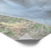 Loving Horses Poster (Hoek)