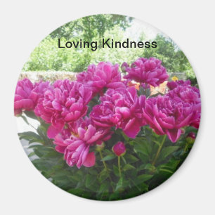 Loving Kindness Peony Magnet Magneet